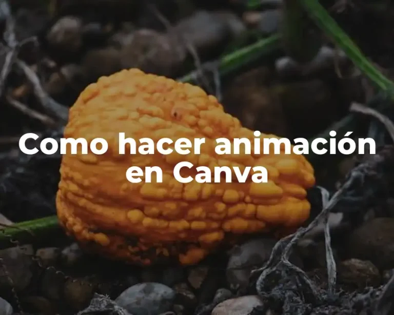 Como hacer animación en Canva
