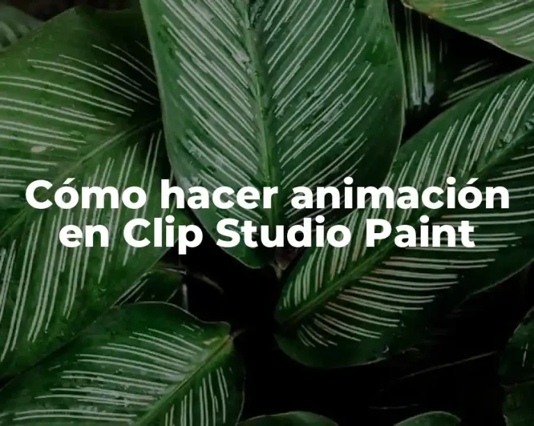 Cómo hacer animación en Clip Studio Paint