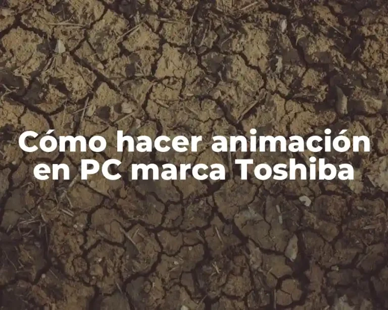 Cómo hacer animación en PC marca Toshiba