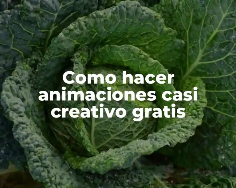 Como hacer animaciones casi creativo gratis