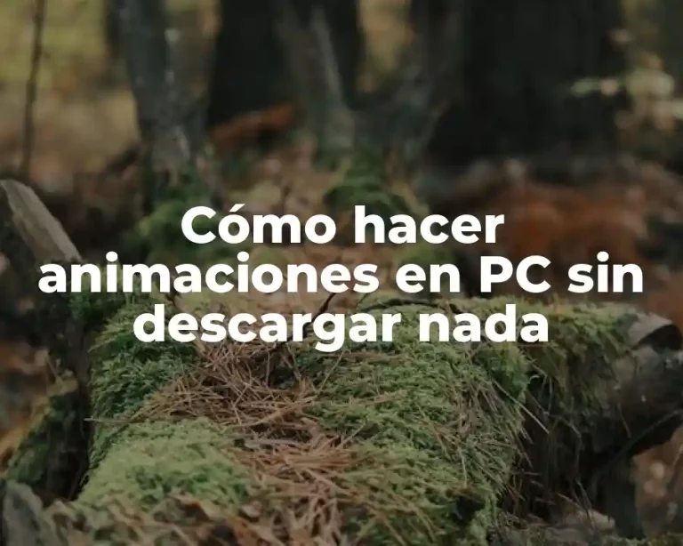 Cómo hacer animaciones en PC sin descargar nada