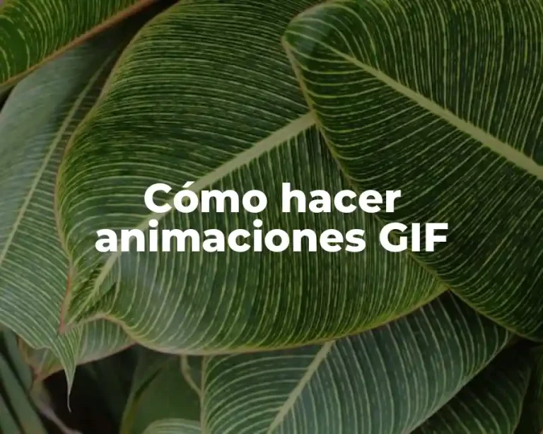 Cómo hacer animaciones GIF