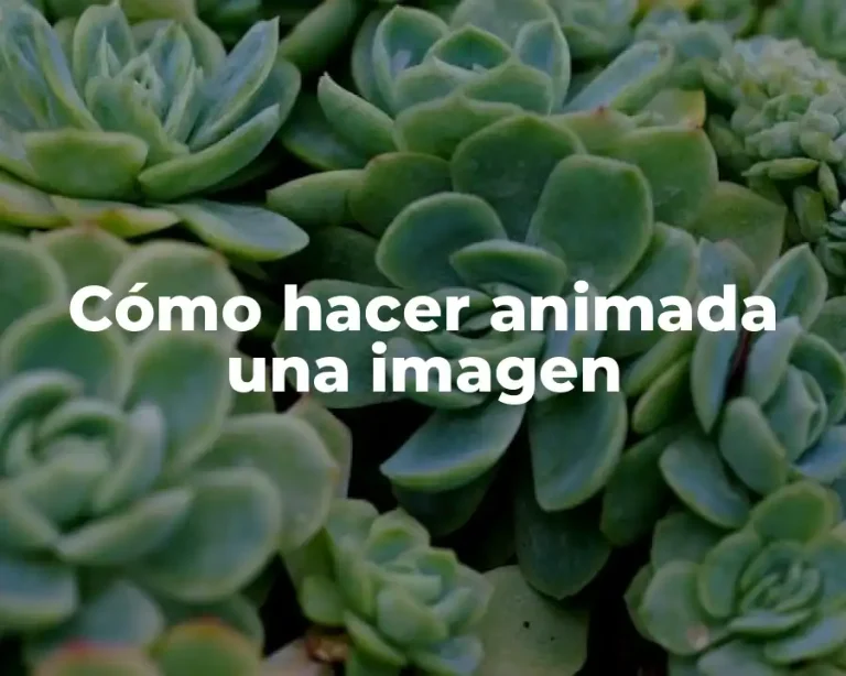 Cómo hacer animada una imagen