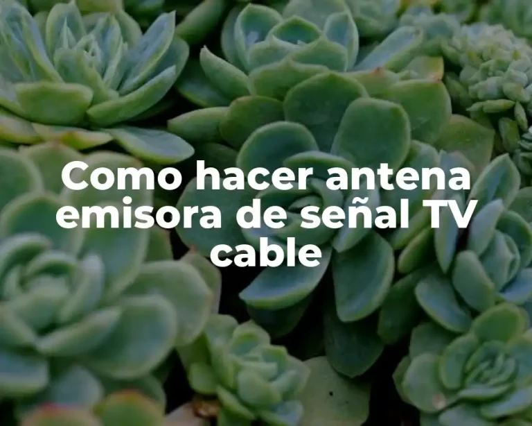 Como hacer antena emisora de señal TV cable