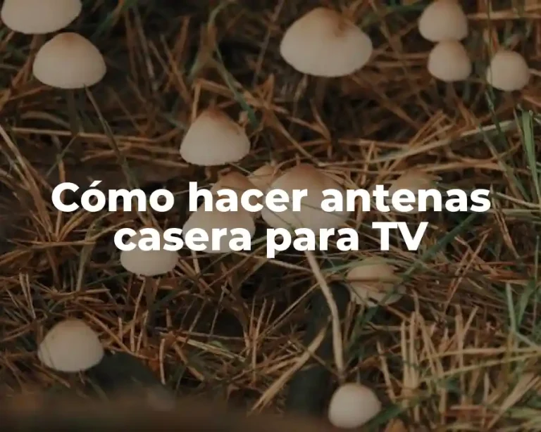 Cómo hacer antenas casera para TV