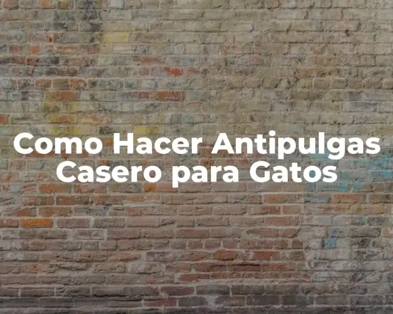 Como Hacer Antipulgas Casero para Gatos