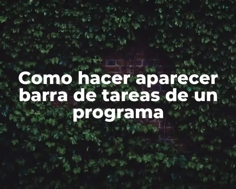 Como hacer aparecer barra de tareas de un programa