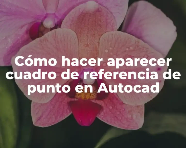 Cómo hacer aparecer cuadro de referencia de punto en Autocad