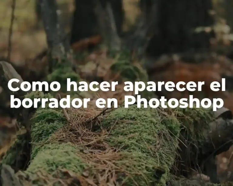 Como hacer aparecer el borrador en Photoshop
