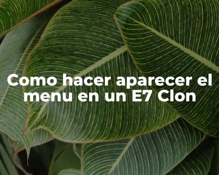 Como hacer aparecer el menu en un E7 Clon