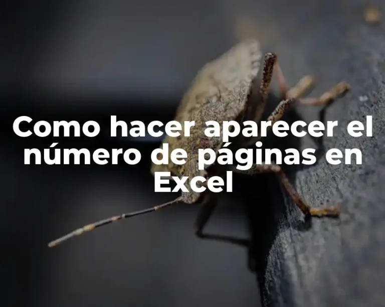 Como hacer aparecer el número de páginas en Excel