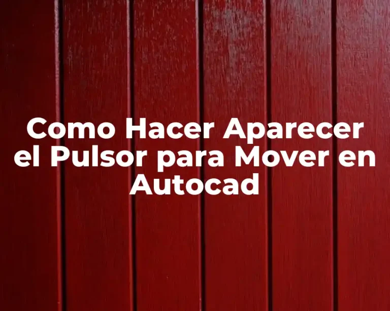 Como Hacer Aparecer el Pulsor para Mover en Autocad