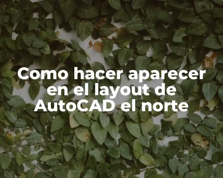 Como hacer aparecer en el layout de AutoCAD el norte