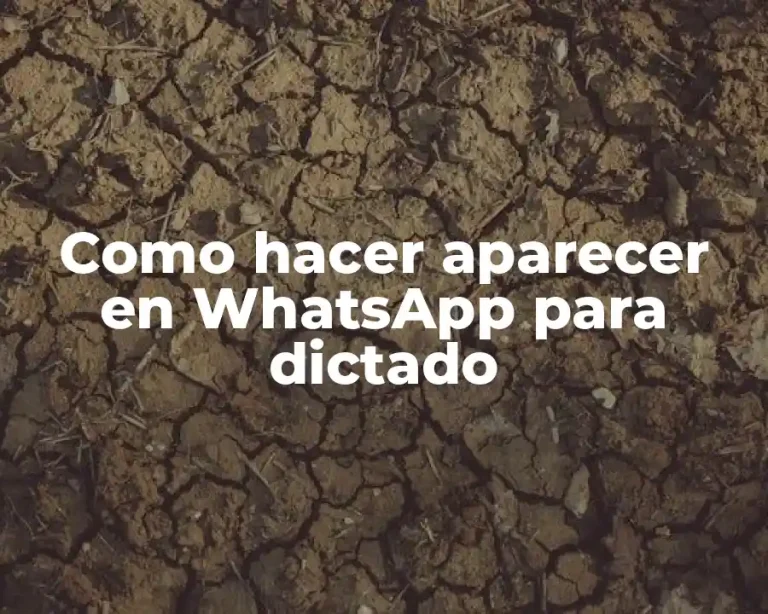 Como hacer aparecer en WhatsApp para dictado