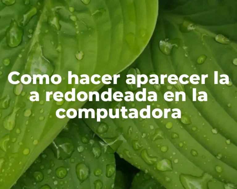 Como hacer aparecer la a redondeada en la computadora