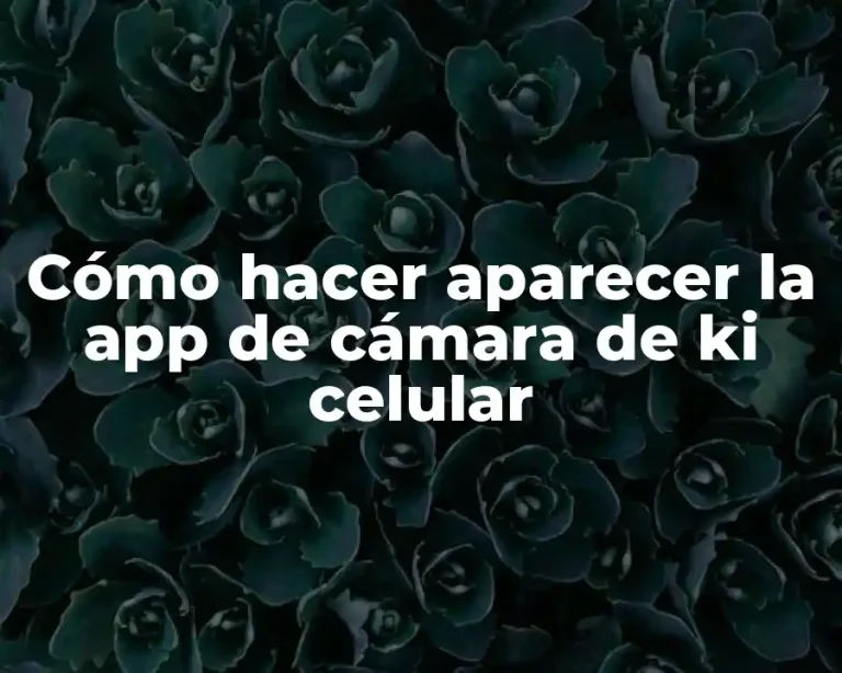 Cómo hacer aparecer la app de cámara de ki celular