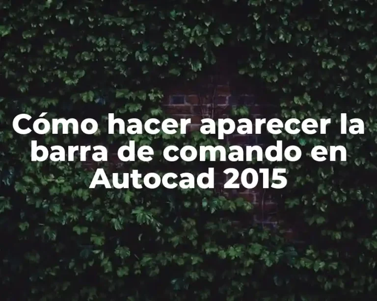 Cómo hacer aparecer la barra de comando en Autocad 2015
