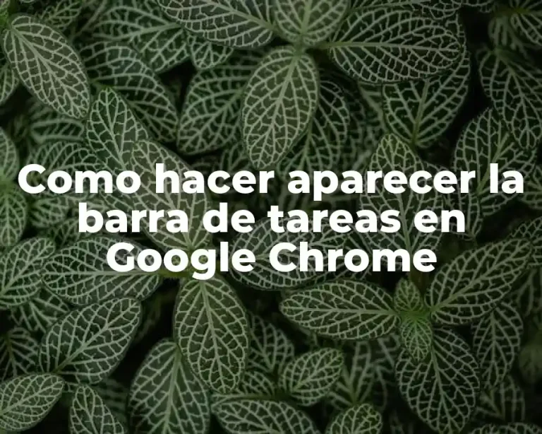 Como hacer aparecer la barra de tareas en Google Chrome