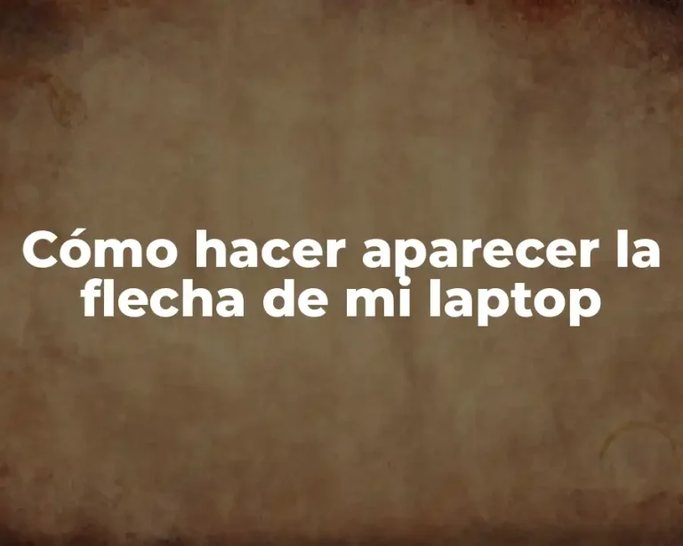 Cómo hacer aparecer la flecha de mi laptop