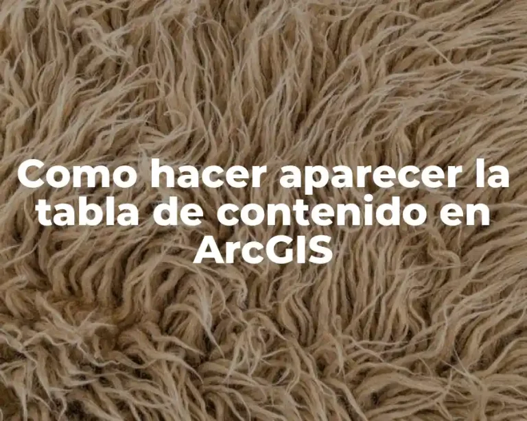 Como hacer aparecer la tabla de contenido en ArcGIS