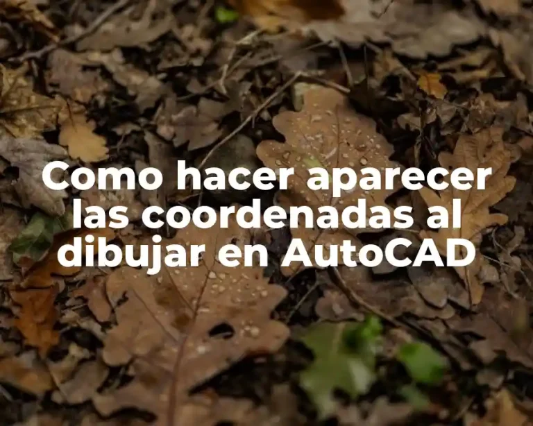 Como hacer aparecer las coordenadas al dibujar en AutoCAD