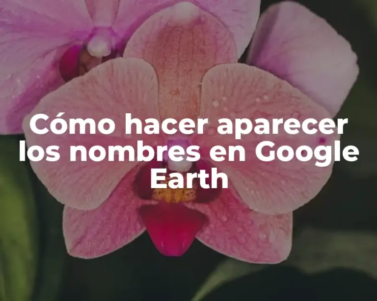 Cómo hacer aparecer los nombres en Google Earth
