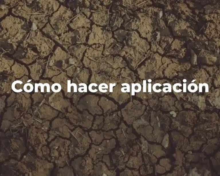 Cómo hacer aplicación