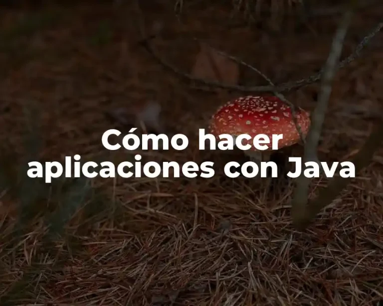 Cómo hacer aplicaciones con Java