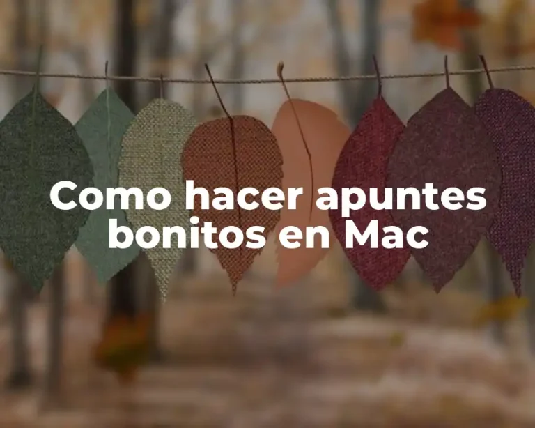 Como hacer apuntes bonitos en Mac