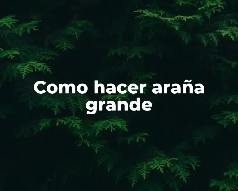 Como hacer araña grande