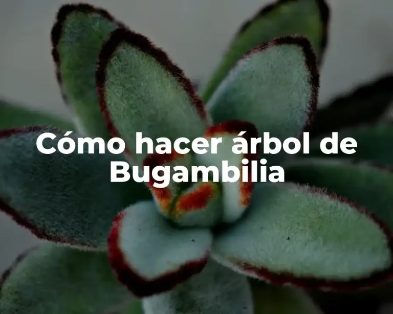 Cómo hacer árbol de Bugambilia