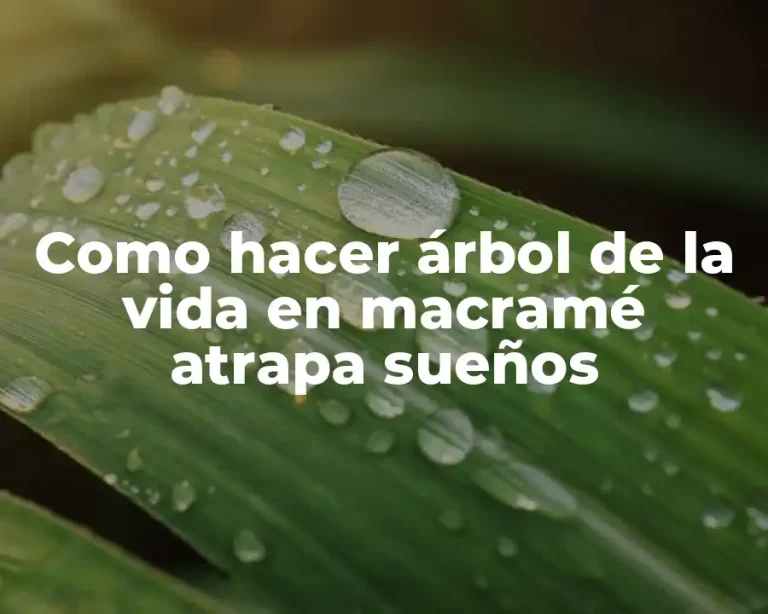 Como hacer árbol de la vida en macramé atrapa sueños