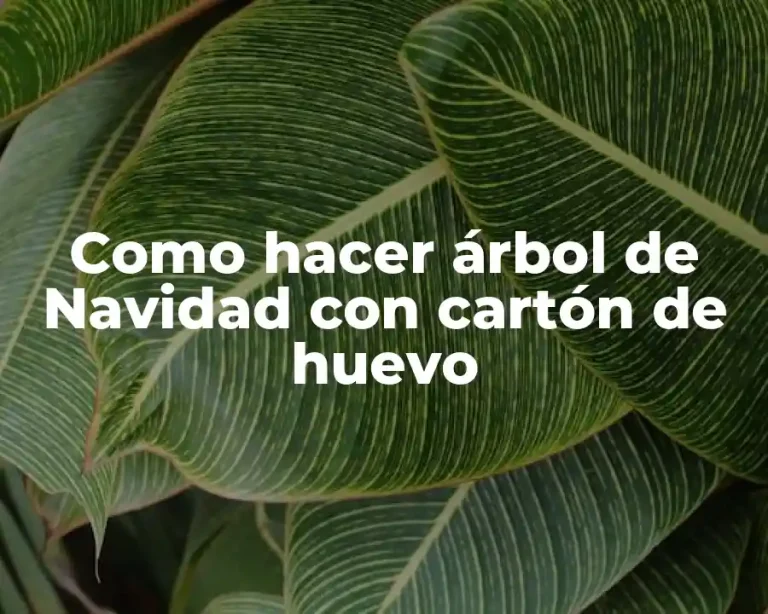 Como hacer árbol de Navidad con cartón de huevo
