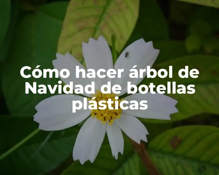Cómo hacer árbol de Navidad de botellas plásticas