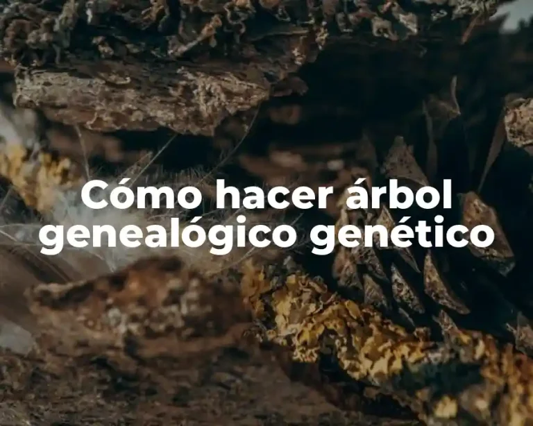 Cómo hacer árbol genealógico genético
