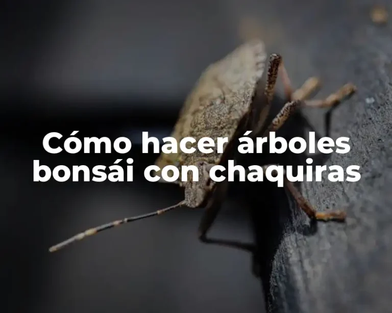 Cómo hacer árboles bonsái con chaquiras