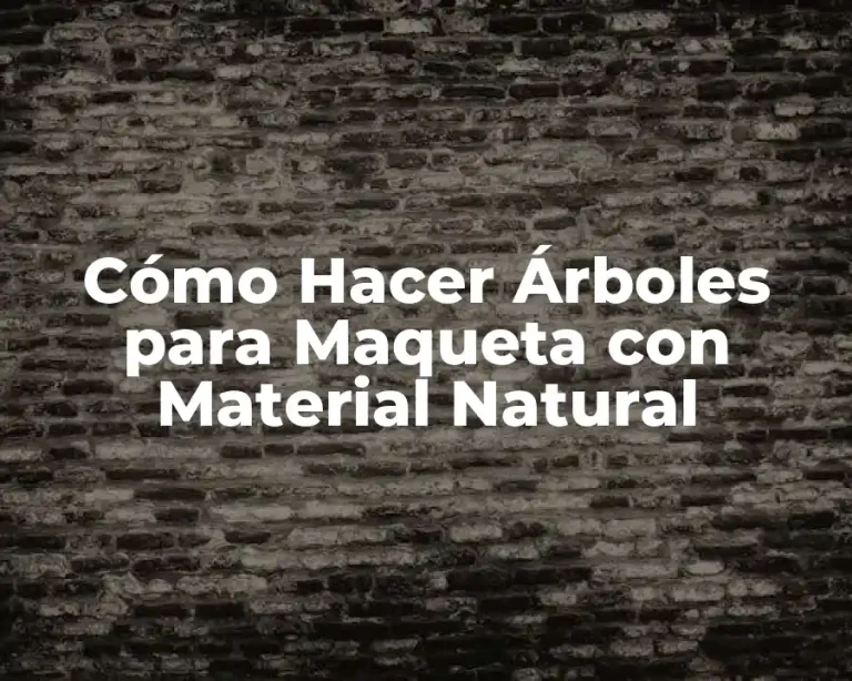 Cómo Hacer Árboles para Maqueta con Material Natural