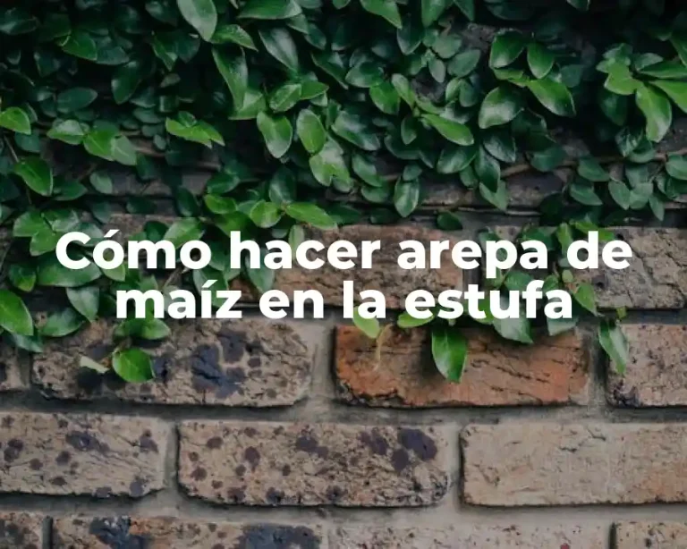 Cómo hacer arepa de maíz en la estufa