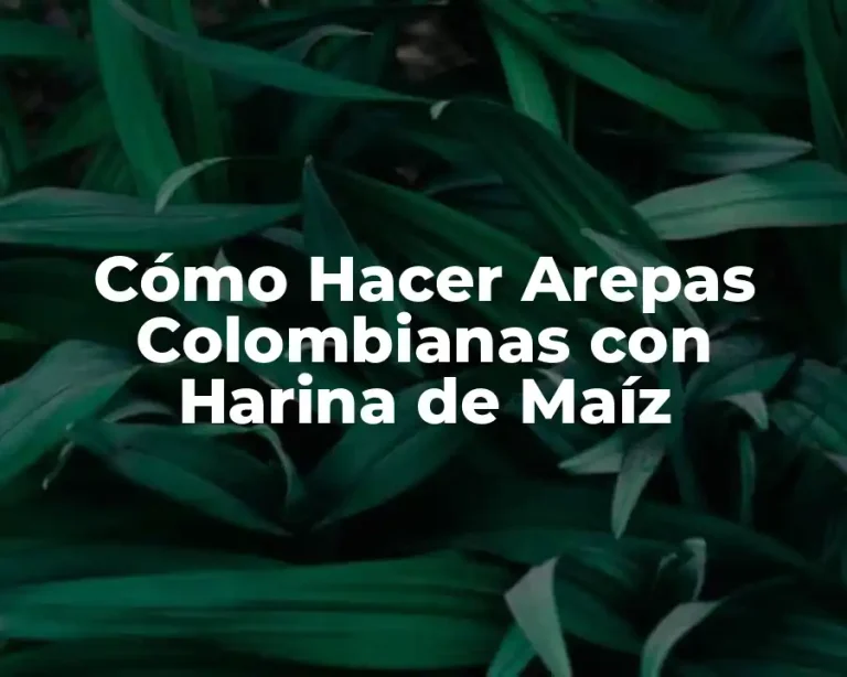 Cómo Hacer Arepas Colombianas con Harina de Maíz