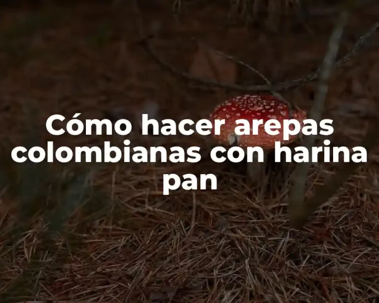 Cómo hacer arepas colombianas con harina pan