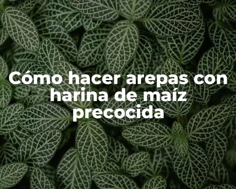 Cómo hacer arepas con harina de maíz precocida