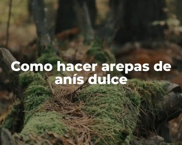 Como hacer arepas de anís dulce