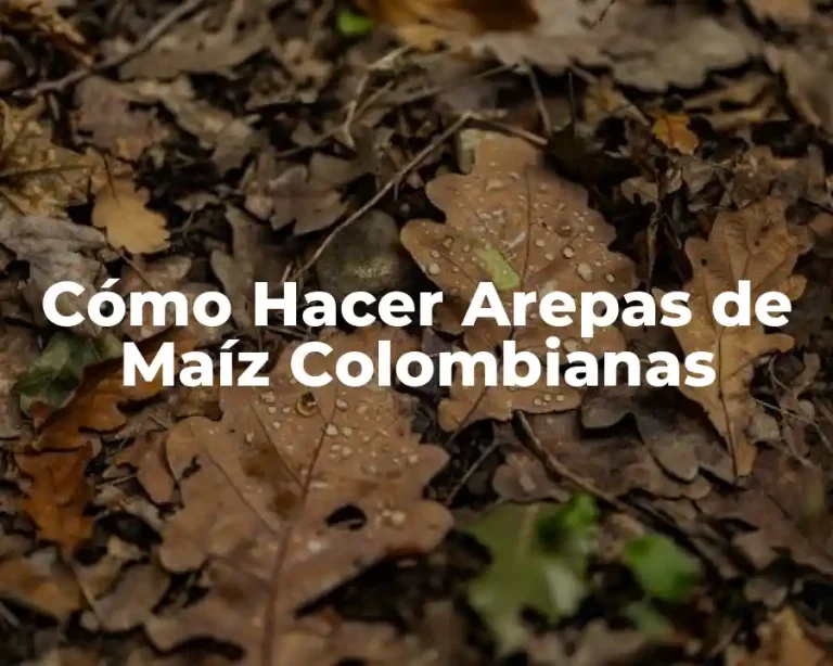 Cómo Hacer Arepas de Maíz Colombianas