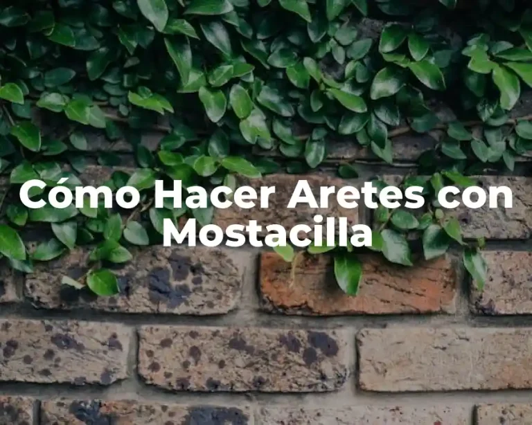 Cómo Hacer Aretes con Mostacilla