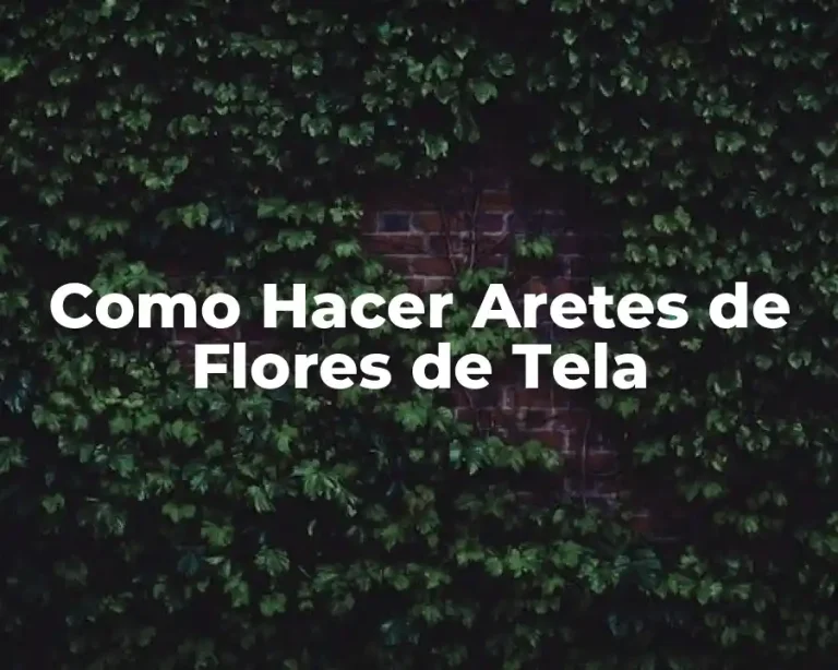 Como Hacer Aretes de Flores de Tela