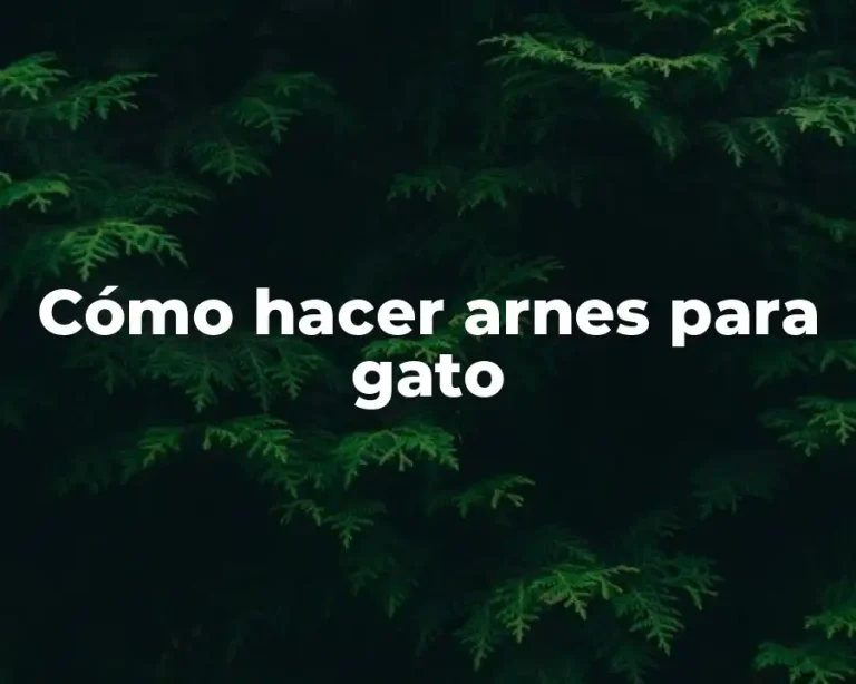 Cómo hacer arnes para gato