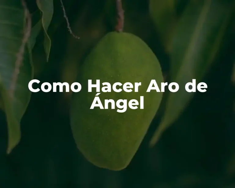 Como Hacer Aro de Ángel