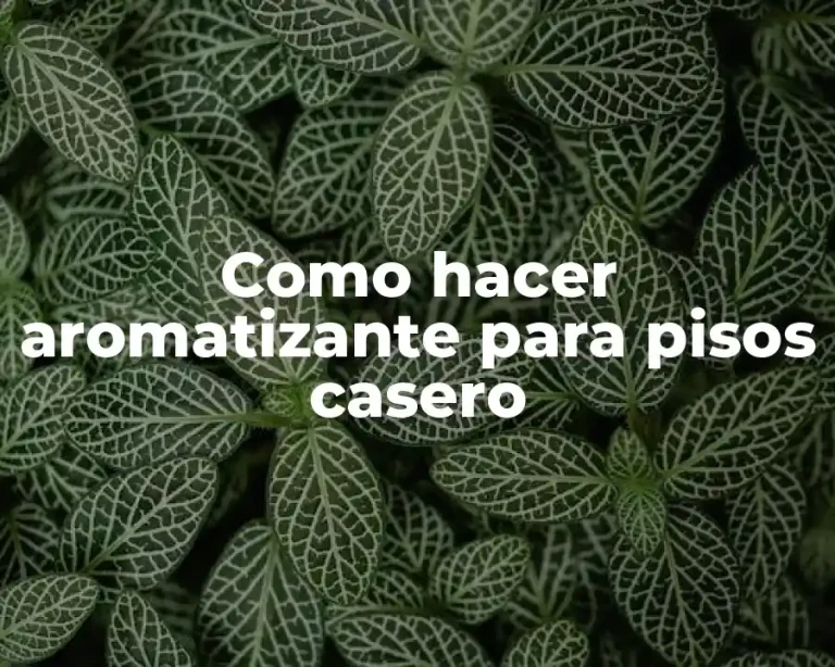 Como hacer aromatizante para pisos casero