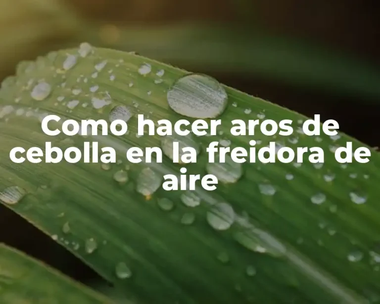 Como hacer aros de cebolla en la freidora de aire