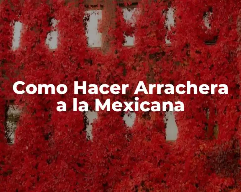 Como Hacer Arrachera a la Mexicana